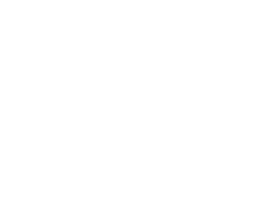 Alt Pizza