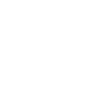 Champion Bolo Bun